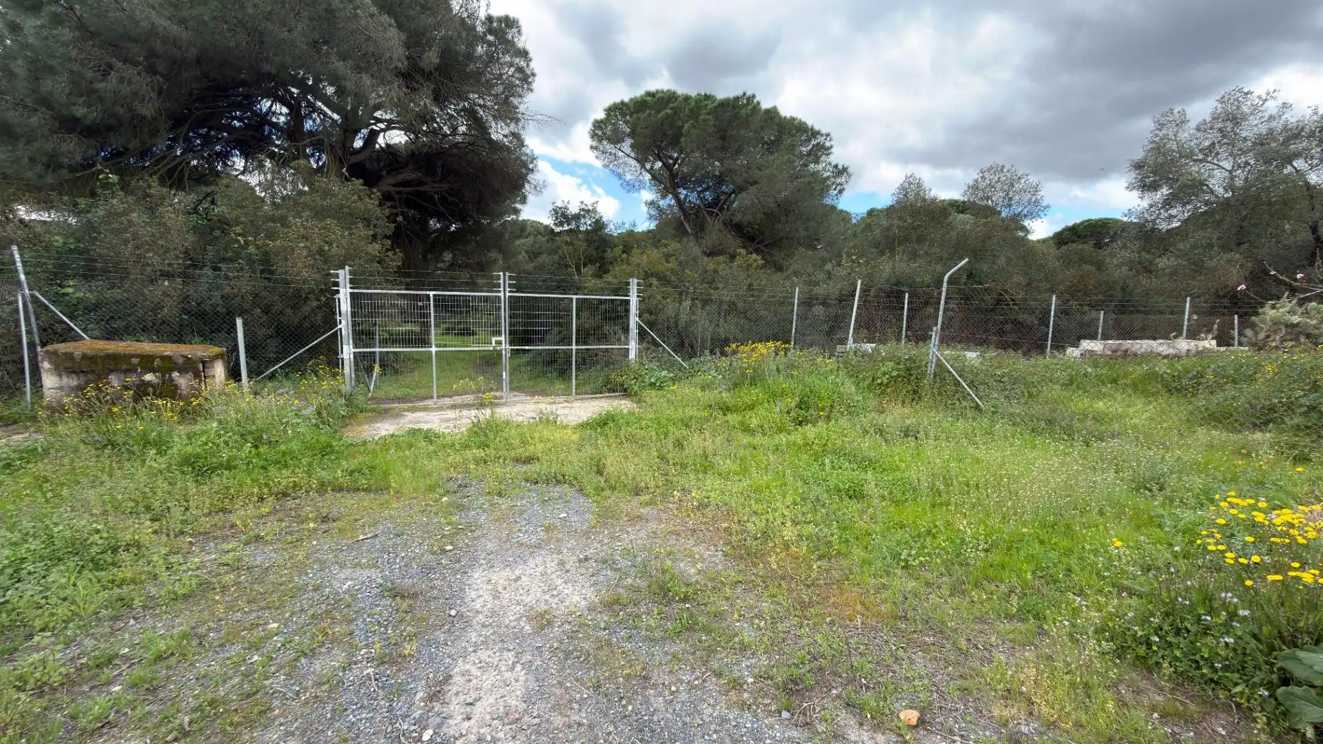 Finca rústica en venta en Punta Umbría
