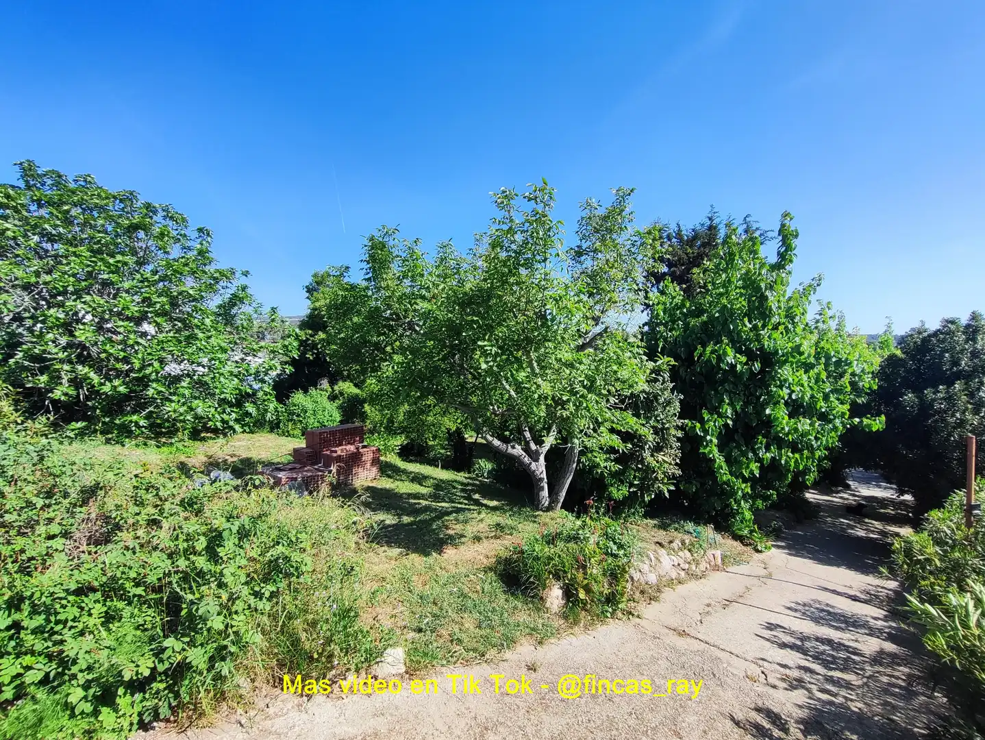 Terreno residenziale in vendita a Torrelles de Foix, imagen 6