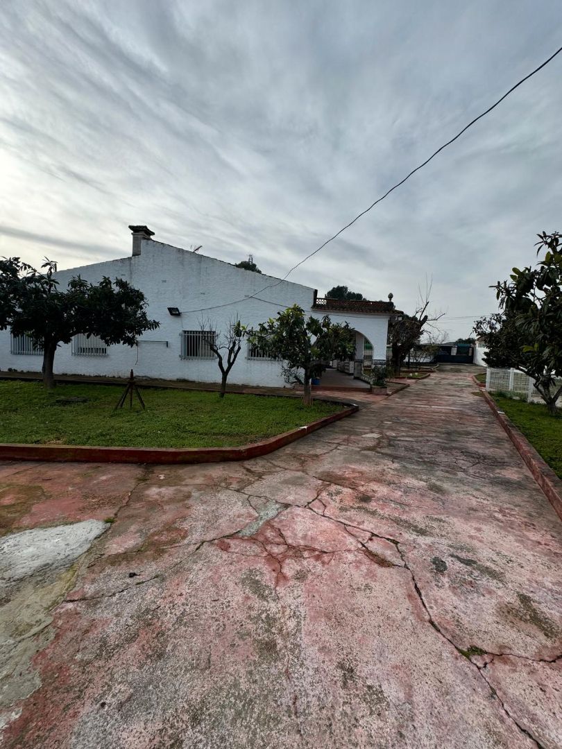 Casa o xalet en venda a Camí Rural les Bases, 221, Palma de Gandia