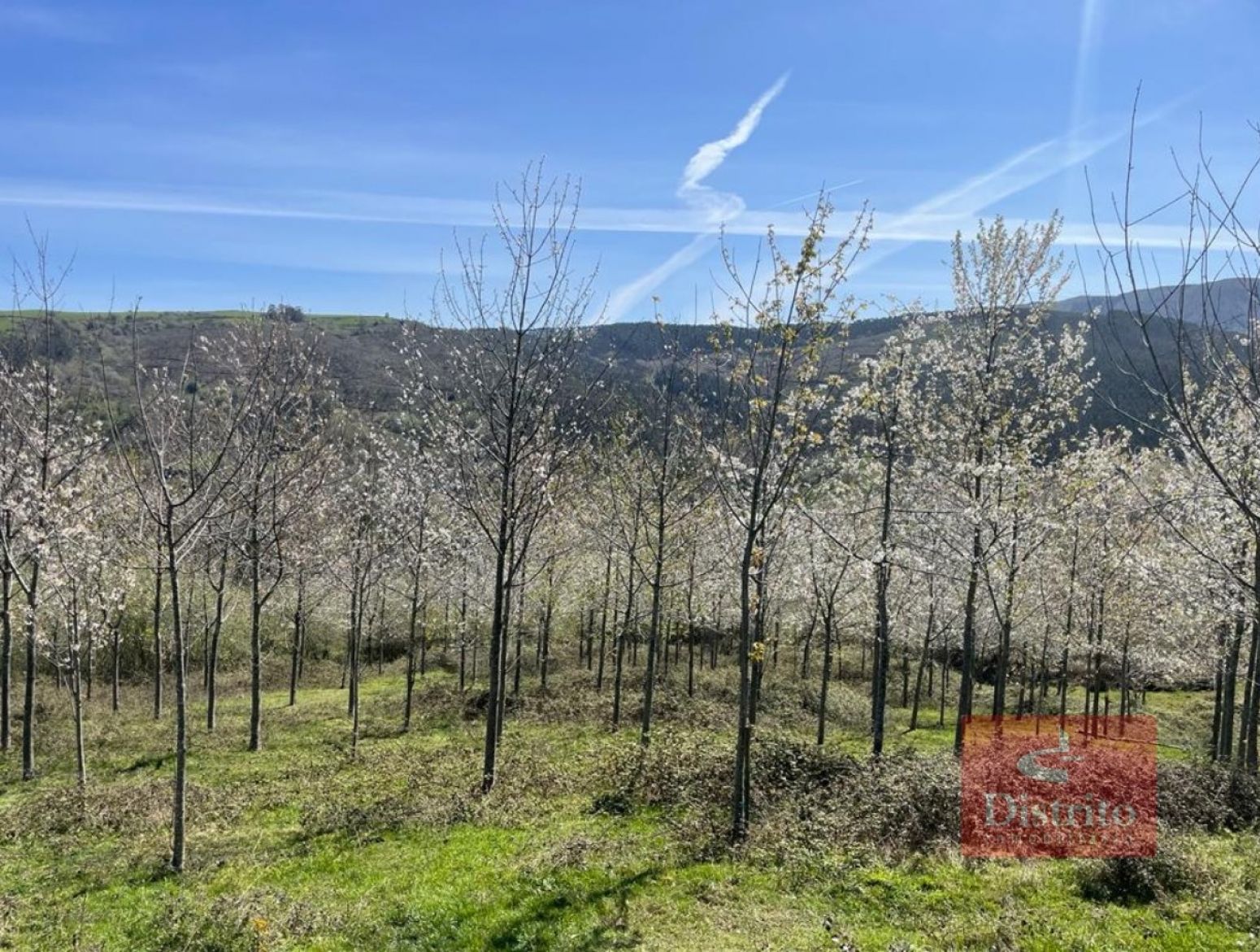 Residential zum verkauf in Valdáliga