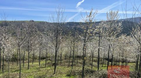 Photo 3 of Residential for sale in Valdáliga - Barrio la Herrería, Valdáliga, Cantabria
