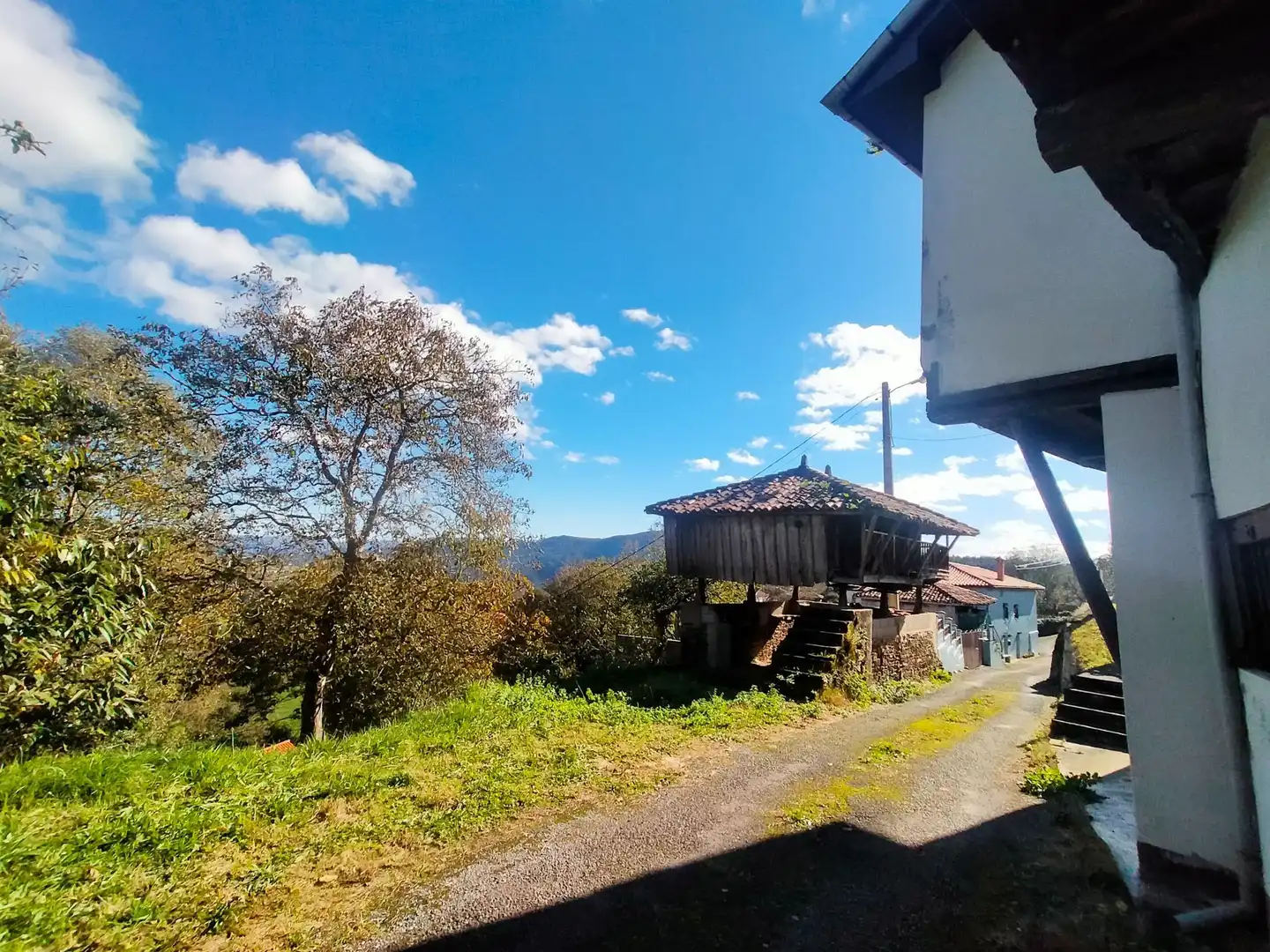 Vista exterior de Finca rústica en venda en Salas amb Calefacció, Jardí privat i Traster