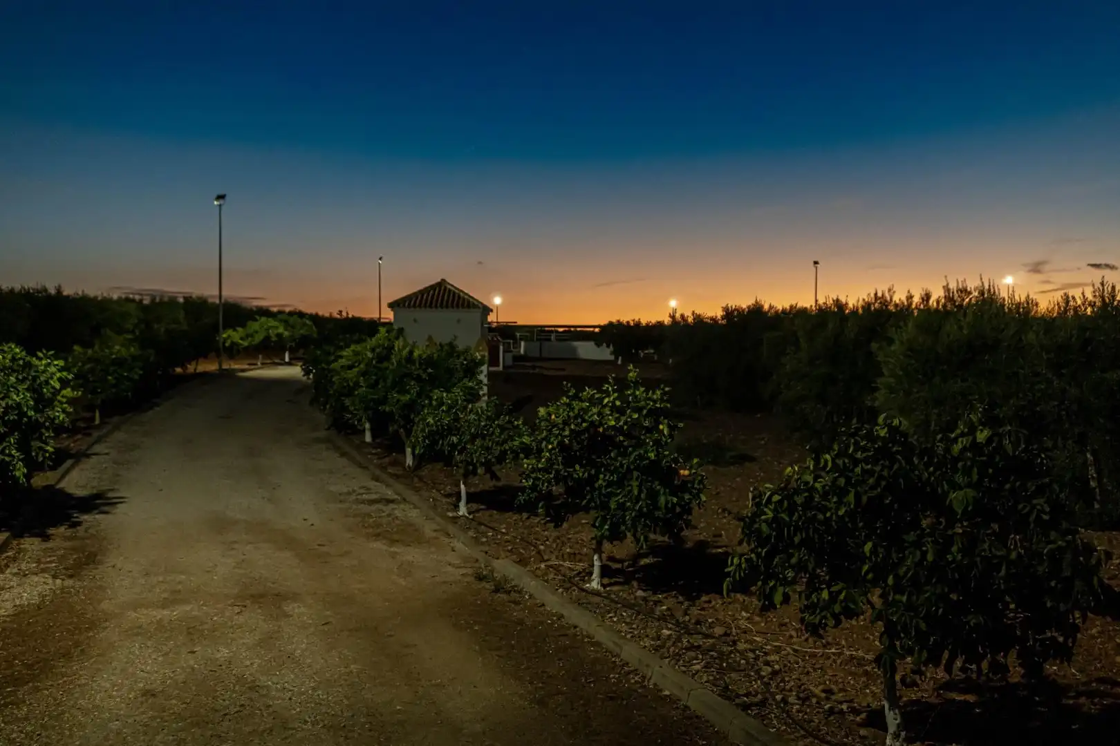 Vista exterior de Finca rústica en venta en Carmona con Calefacción, Jardín privado y Terraza