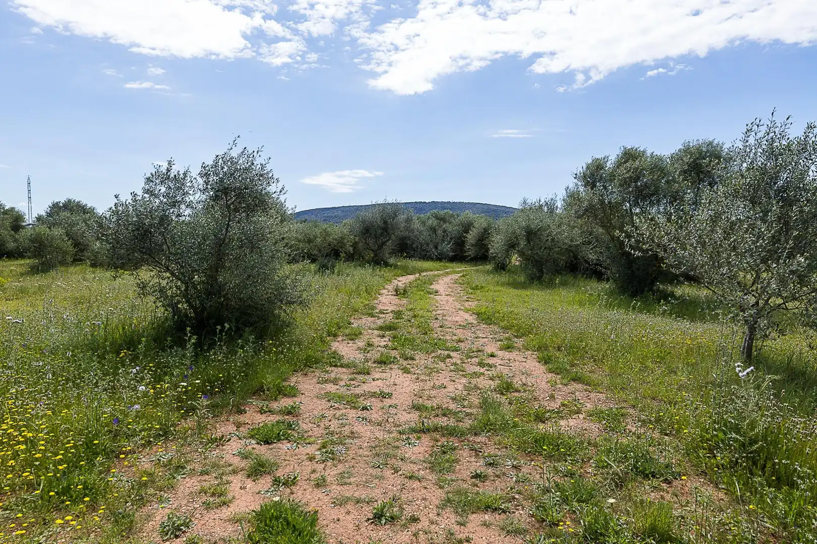 Terreny rústic en venda a Santa María del Camí, imagen 3