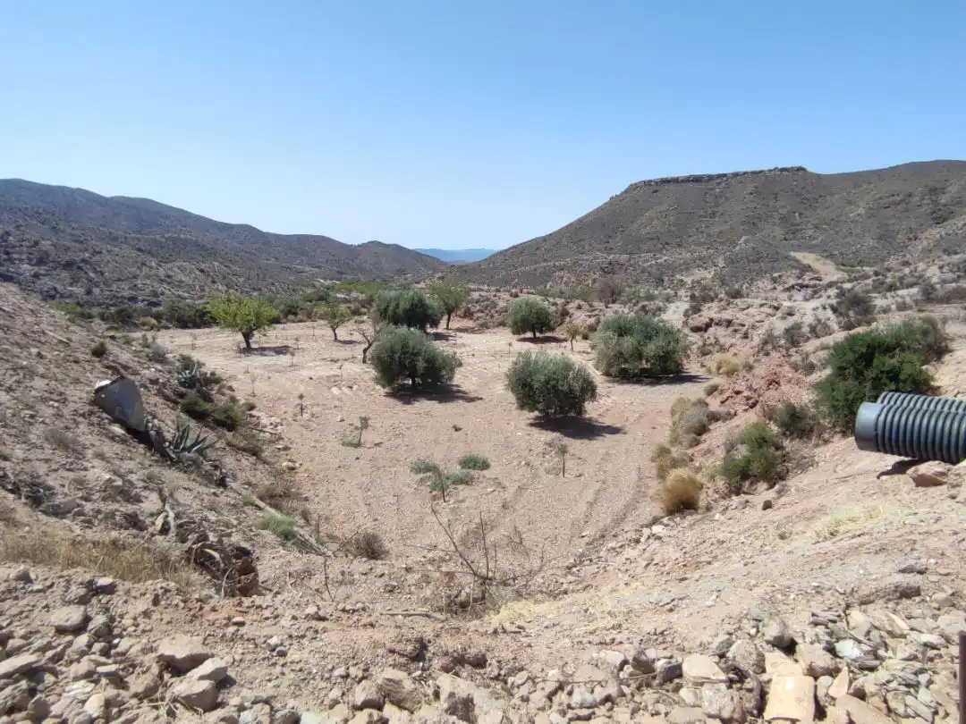 House with garden for sale in Camino Aljambra 0, imagen 5