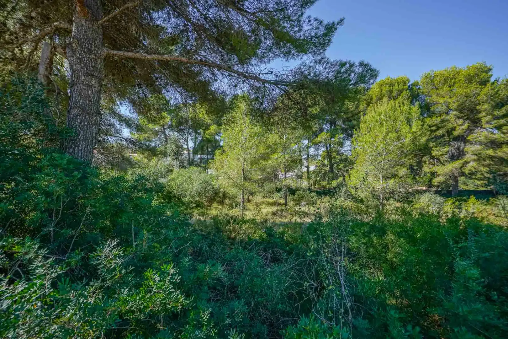 Residential land for sale in Centro ciudad, imagen 11