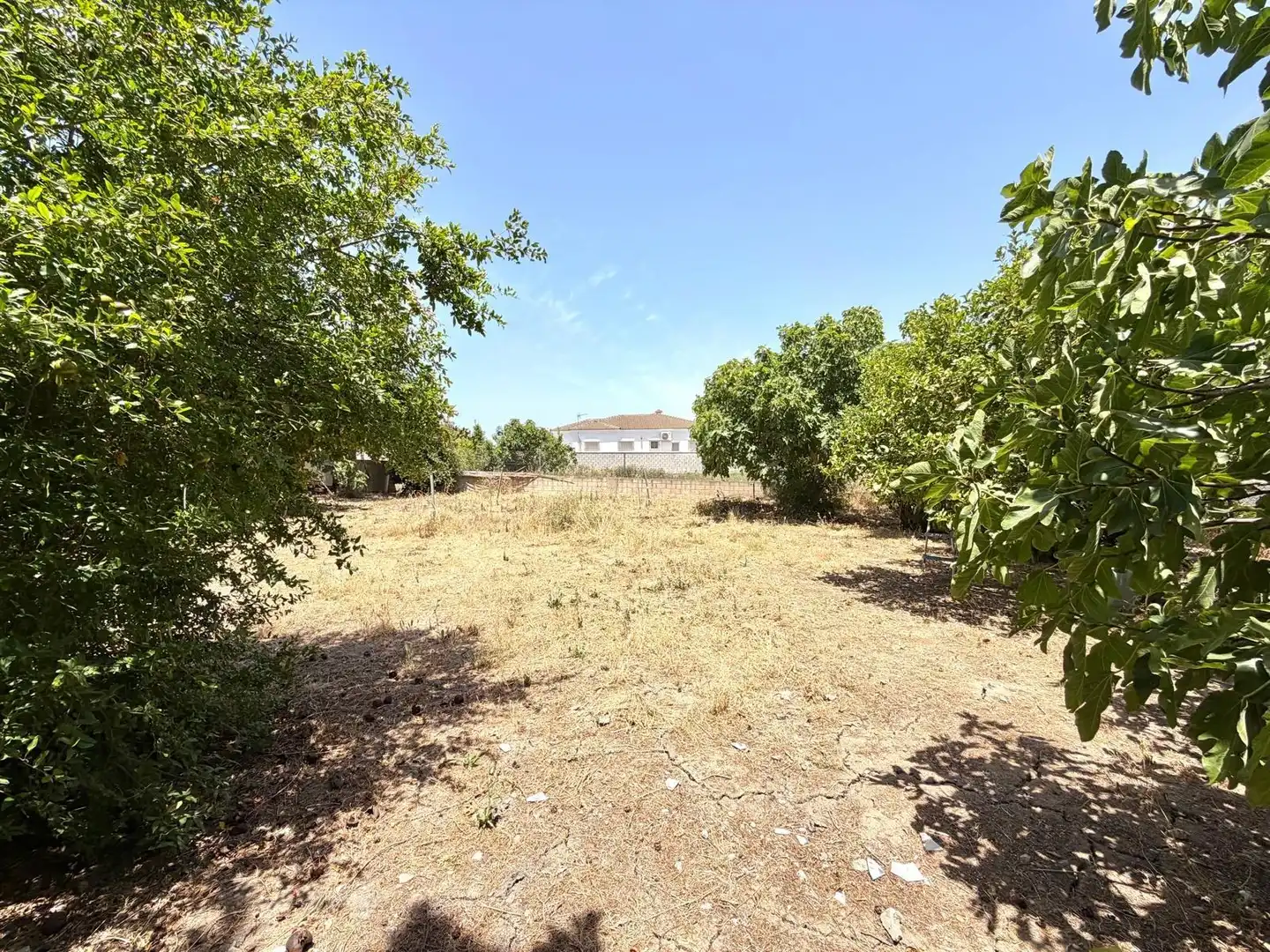 Houses for sale in El Puerto de Santa María  with Private garden