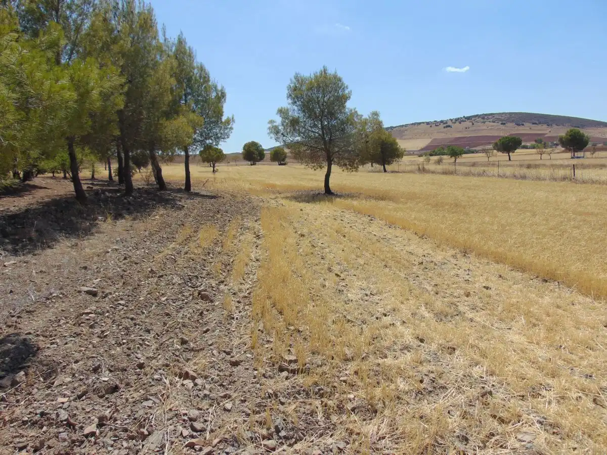 Chalet en venta en Santa Cruz de Mudela, imagen 10