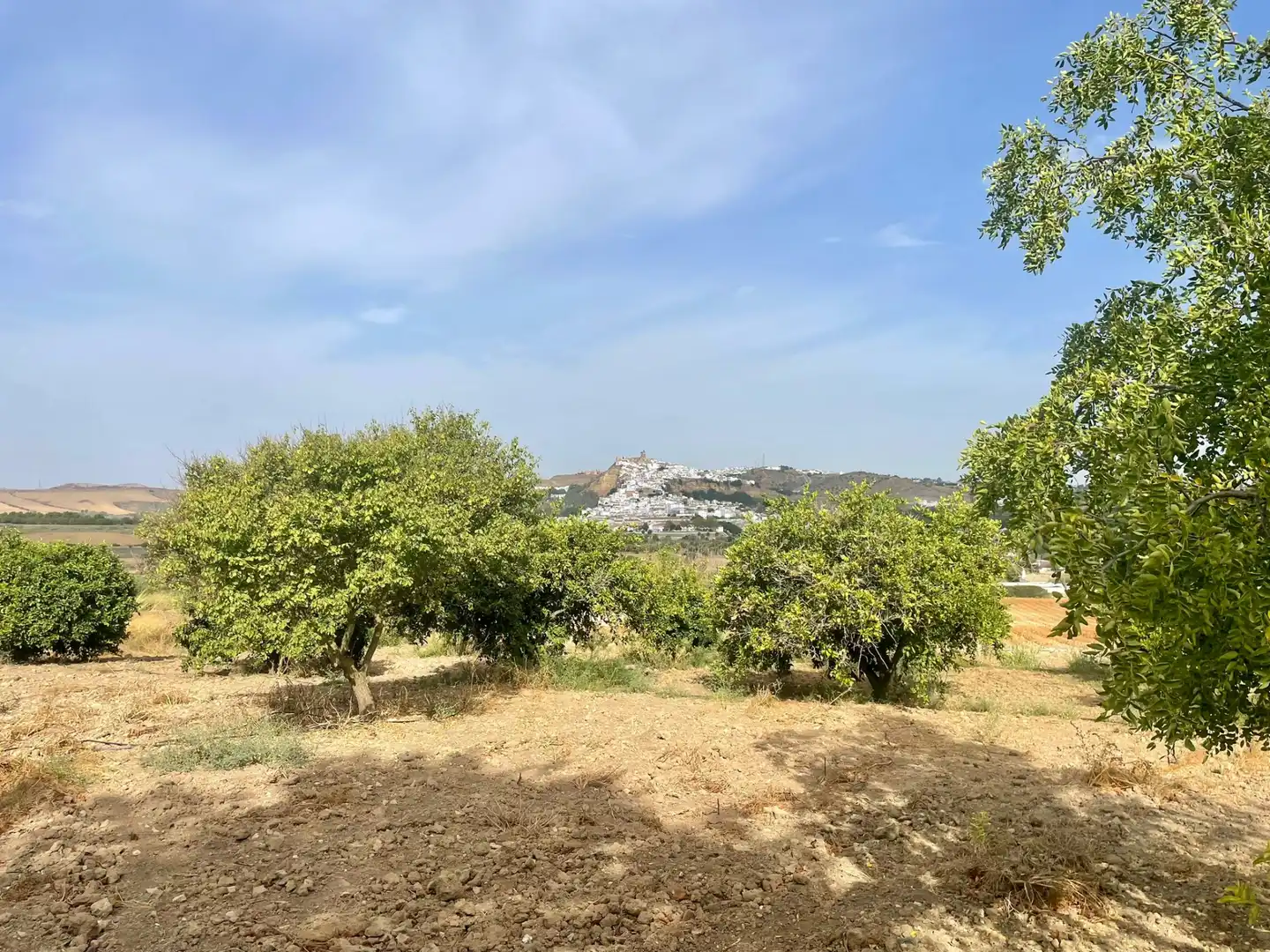 Terreni e lotti in vendita a Arcos de la Frontera, imagen 27