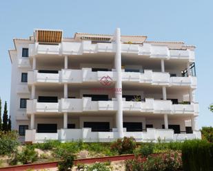 Exterior view of Planta baja for sale in Orihuela  with Terrace and Community pool