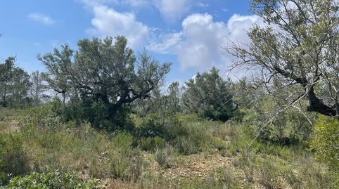 Foto 4 de Residencial en venta en Poble, Mont-roig del Camp