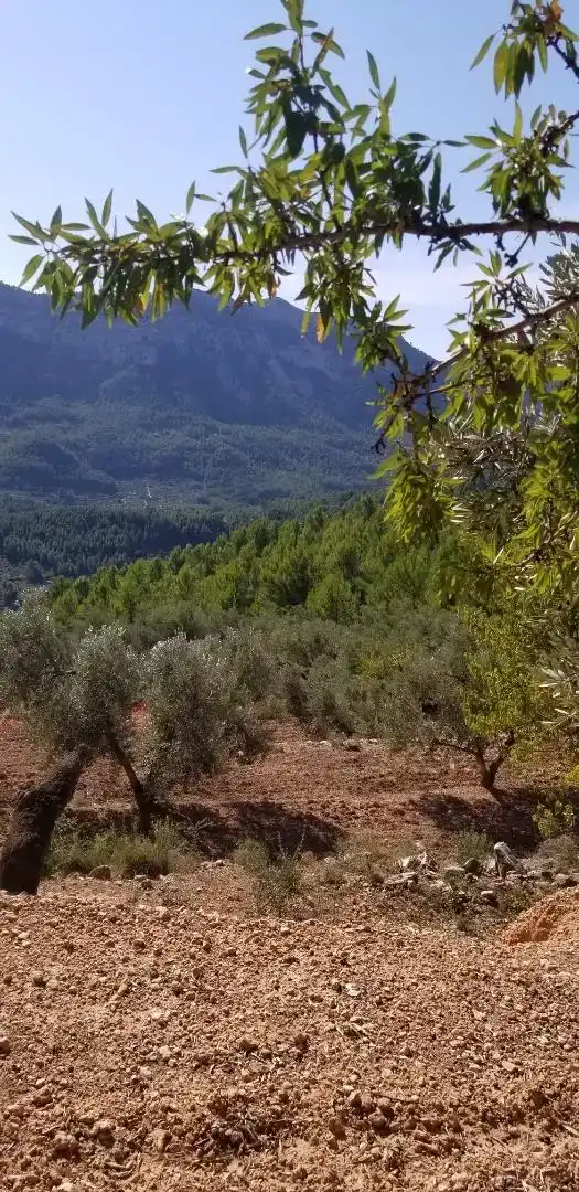 Finca rústica en venda en Amposta