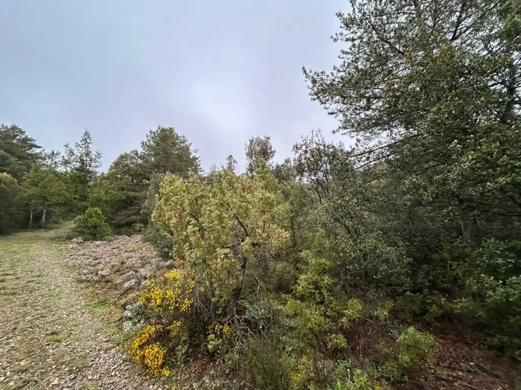 Country homes for sale in El Toro