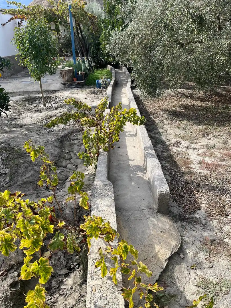 Terreno en venta en Alsodux