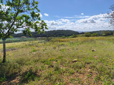 Terrain rustique à vendre à Carrer del Consistori 2