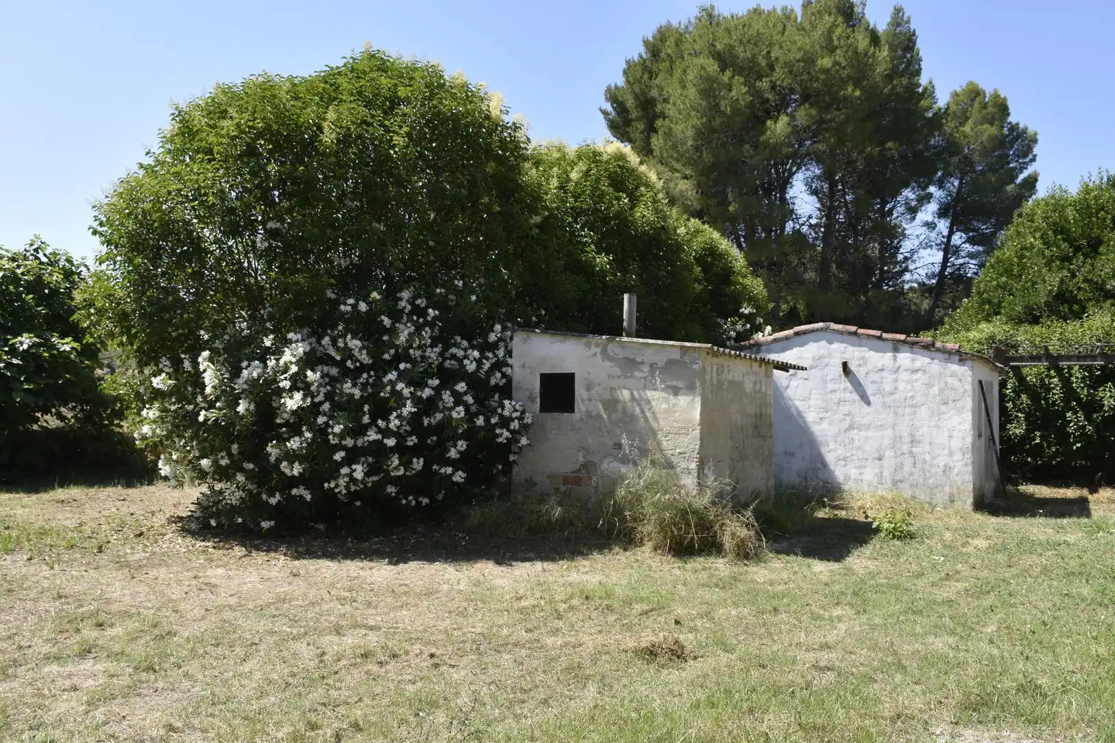 Jardín de Finca rústica en venta en Quatretondeta