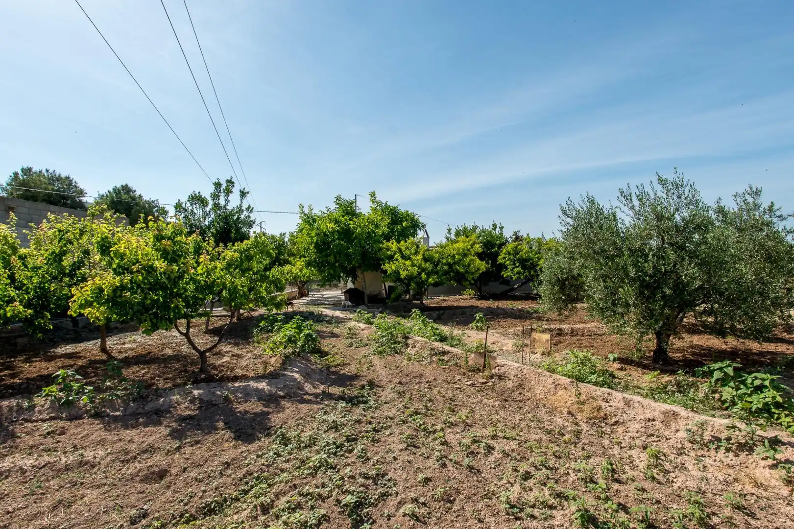 Casa o xalet en venda en Cehegín amb Piscina i Moblat