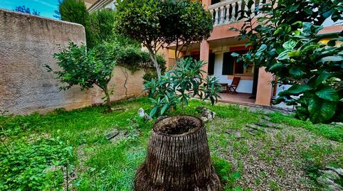 Foto 5 de Planta baixa en venda a Son Ramonell - Es Figueral, Illes Balears