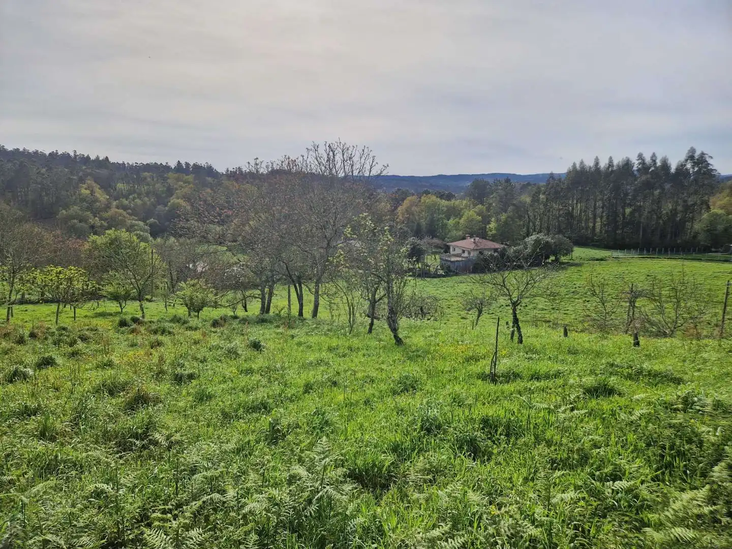 Grundstücke und Bauplätze zum Verkauf in Área de Ames, imagen 7