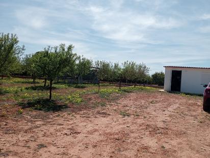 Land for sale in Alcàsser