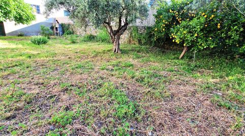 Foto 4 de Casa o xalet en venda a Villanueva de la Vera, Cáceres