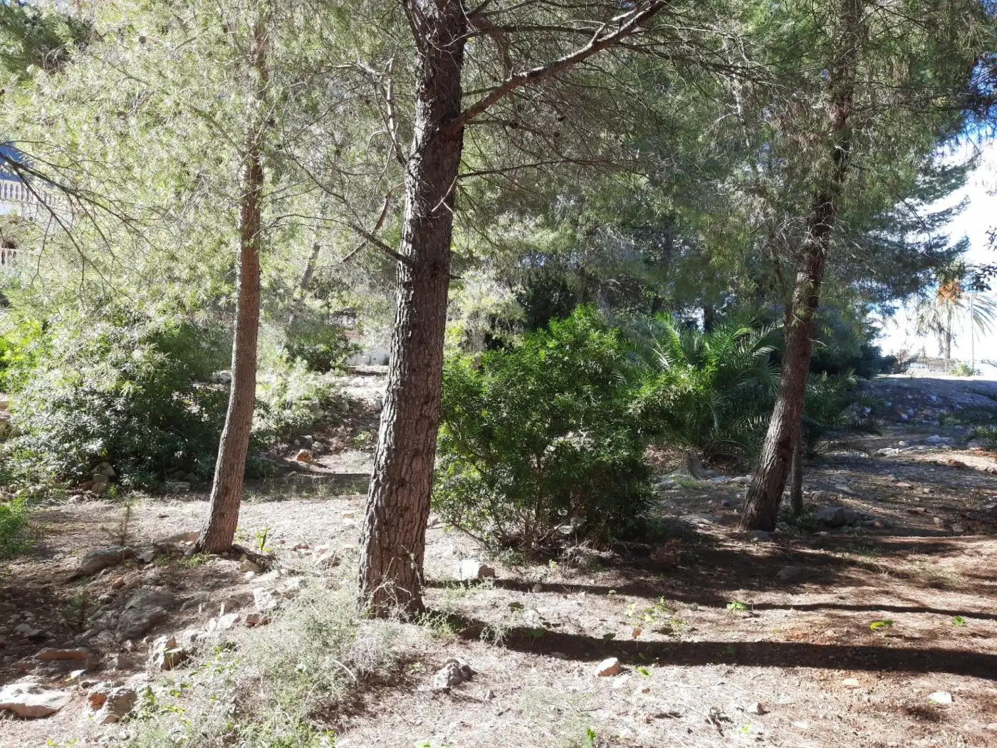 Grundstücke und Bauplätze zum Verkauf in El Montgó, imagen 10