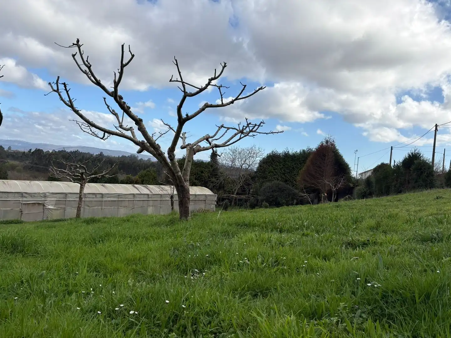 Rural land for sale in DP-3602, imagen 8