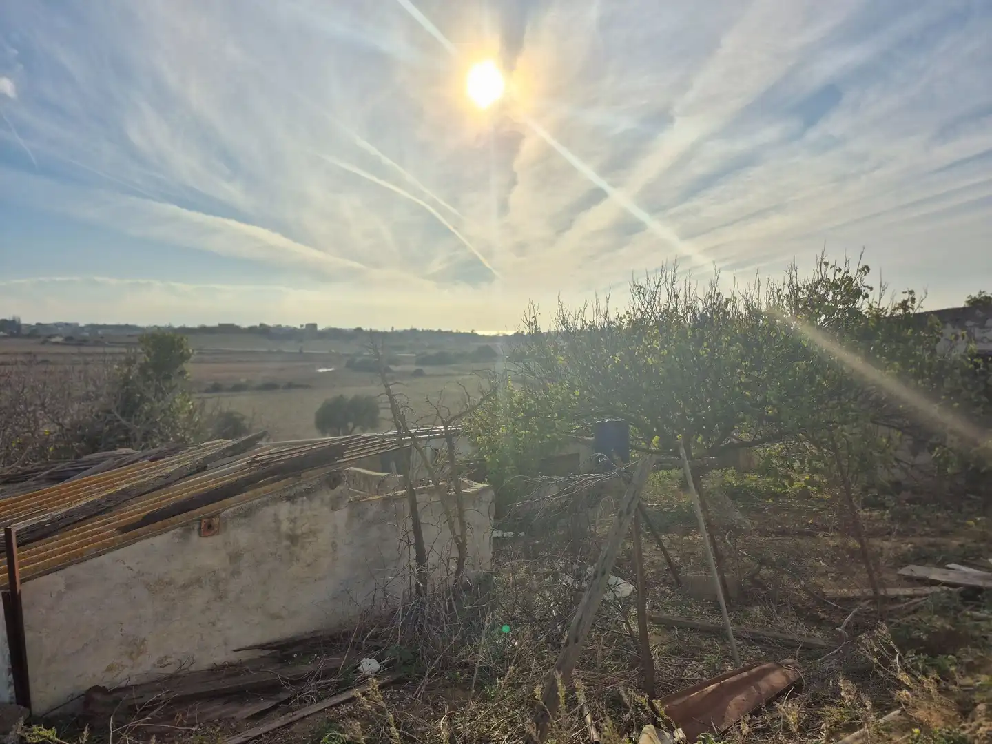 Terreny rústic en venda a Conil, imagen 17