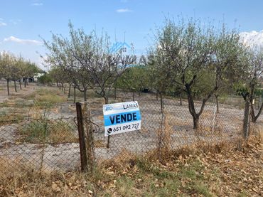 Terreno rústico en venta en Calle Cementerio 53