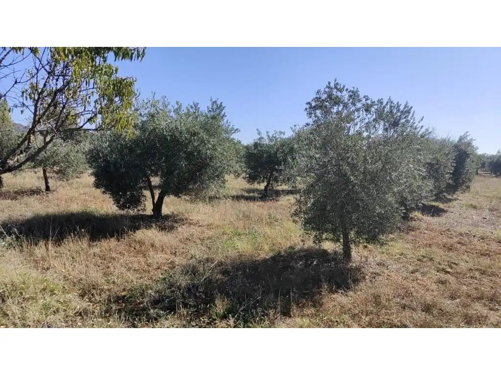 Casa rústica amb piscina en venda a Almodóvar del Campo, imagen 23