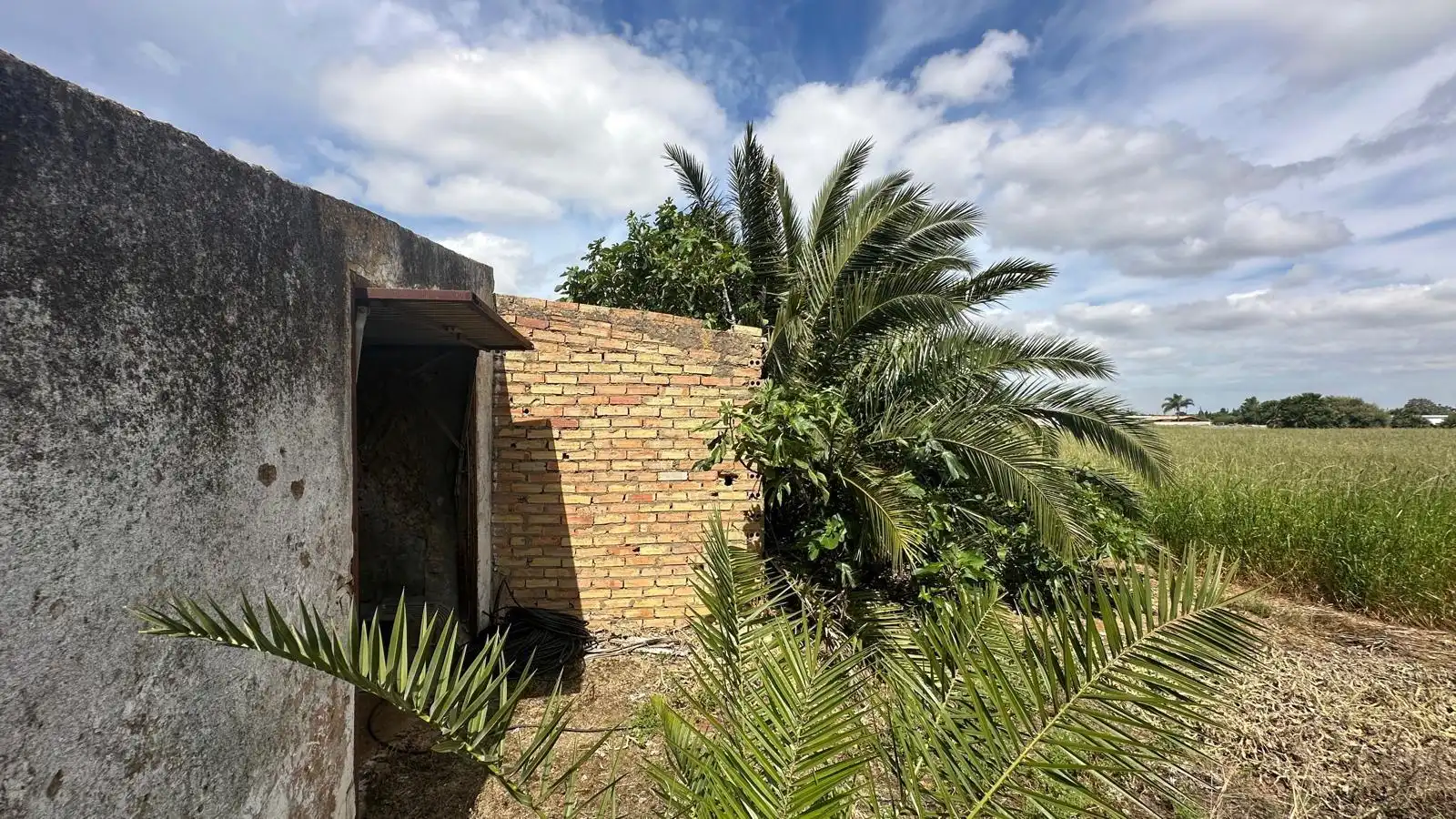 Vista exterior de Finca rústica en venda en Conil de la Frontera
