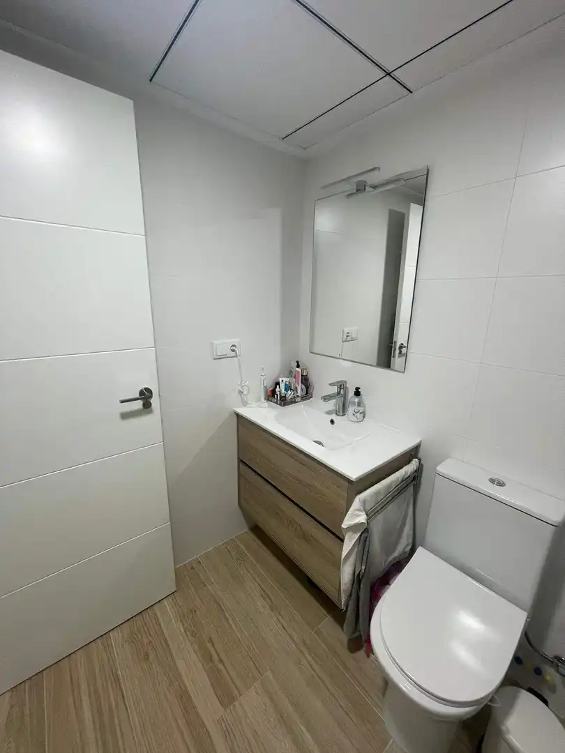 Estudio de alquiler en Elche / Elx, Alicante