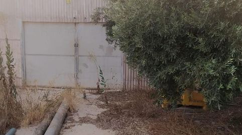 Foto 4 de Finca rústica en venta en Asprella, La Foia - Daimés - Asprella, Elche / Elx