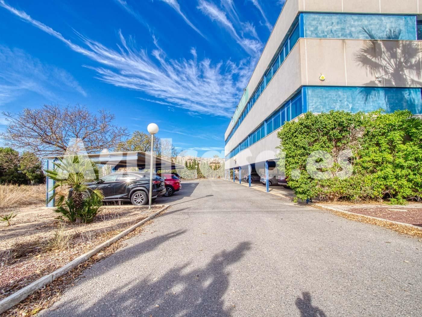 Exterior view of Industrial buildings for sale in Elche / Elx