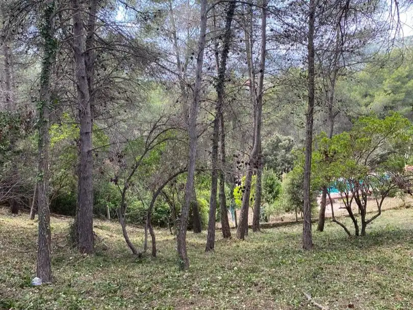 Terreno residencial en venta en Sant Sever 45, imagen 7