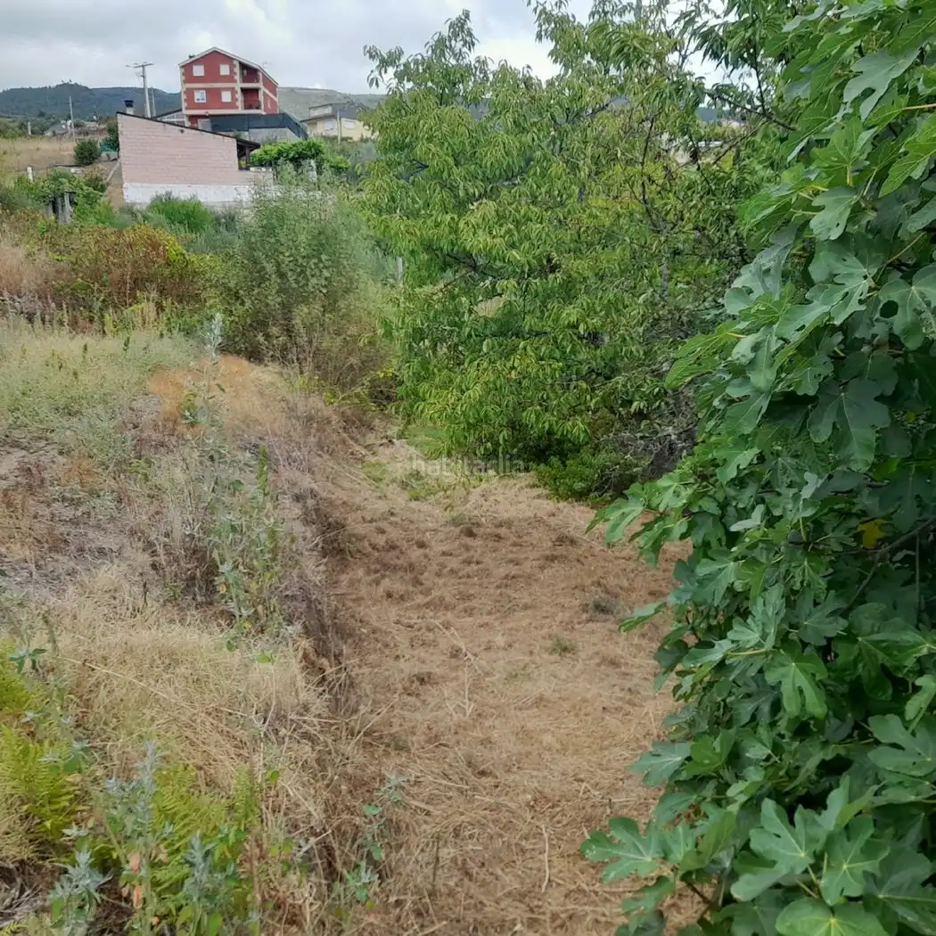 Residential land for sale in Calle Cigarrosa 11, imagen 5