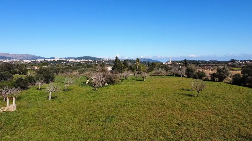Terrain rustique à vendre à Selva, imagen 18