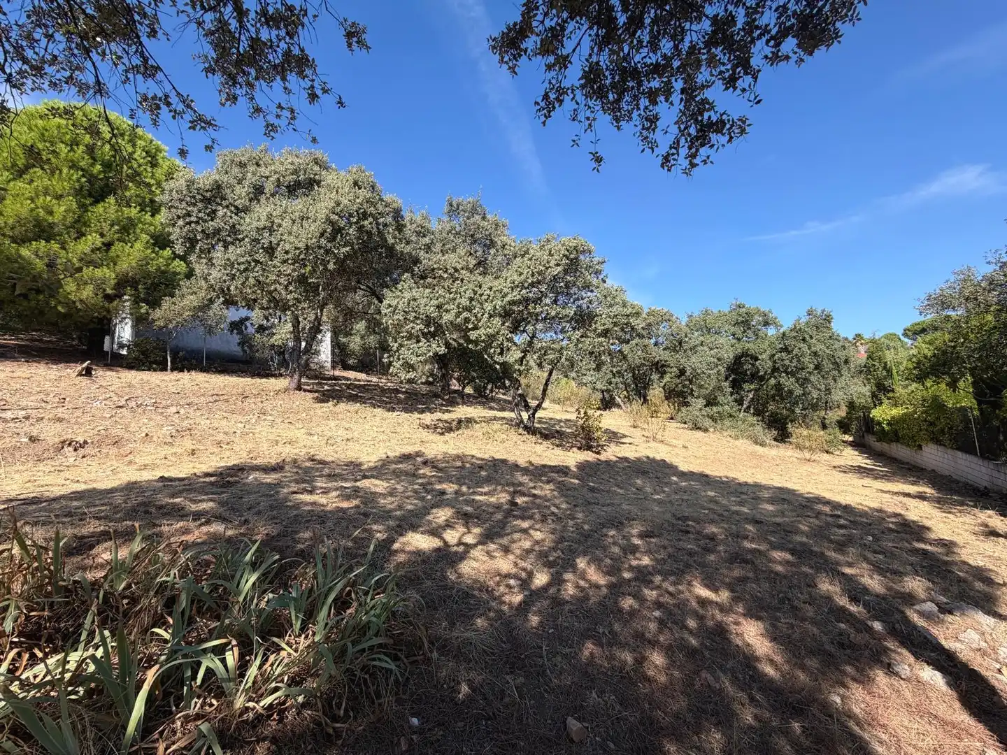 Residential land for sale in Villa del Prado, imagen 13