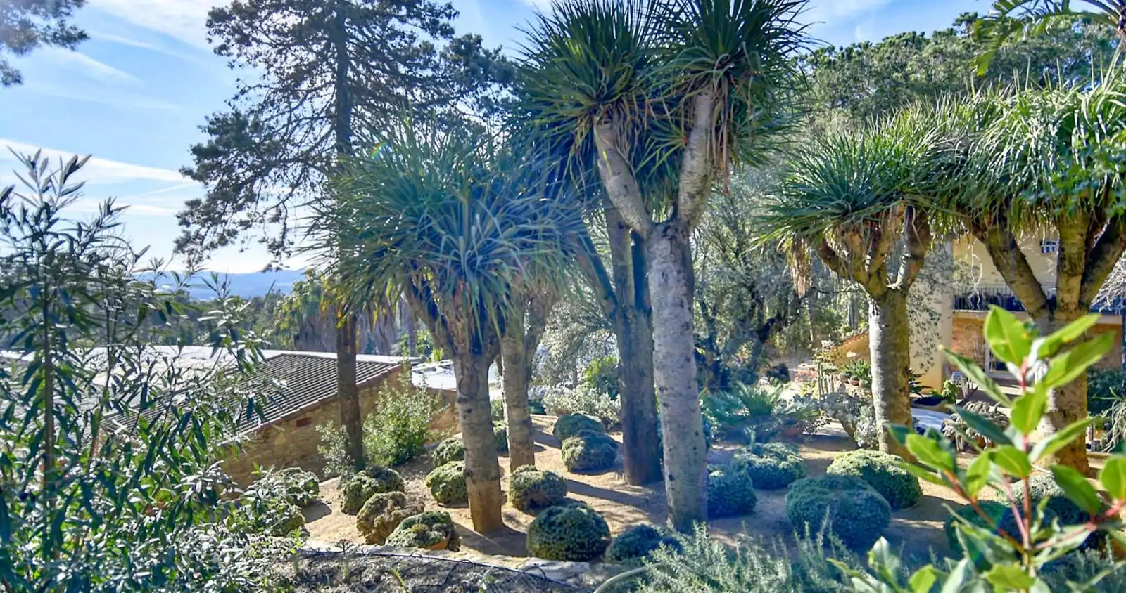 Maison à vendre à Residencial Begur - Esclanyà, imagen 17
