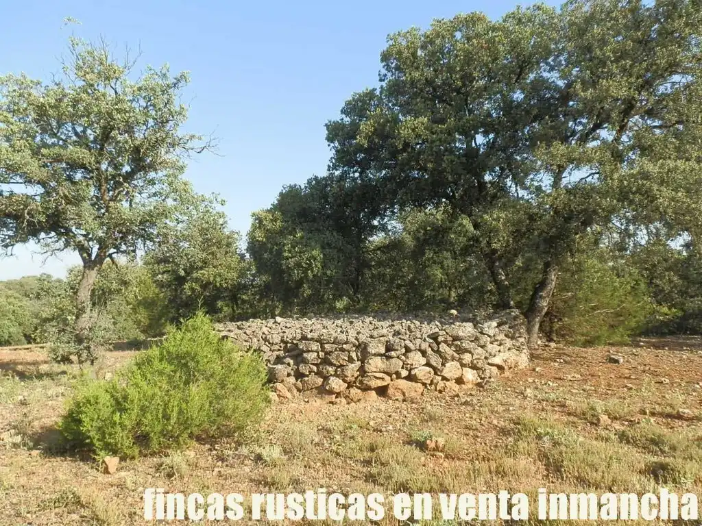 Terreno en venta en Alcaraz