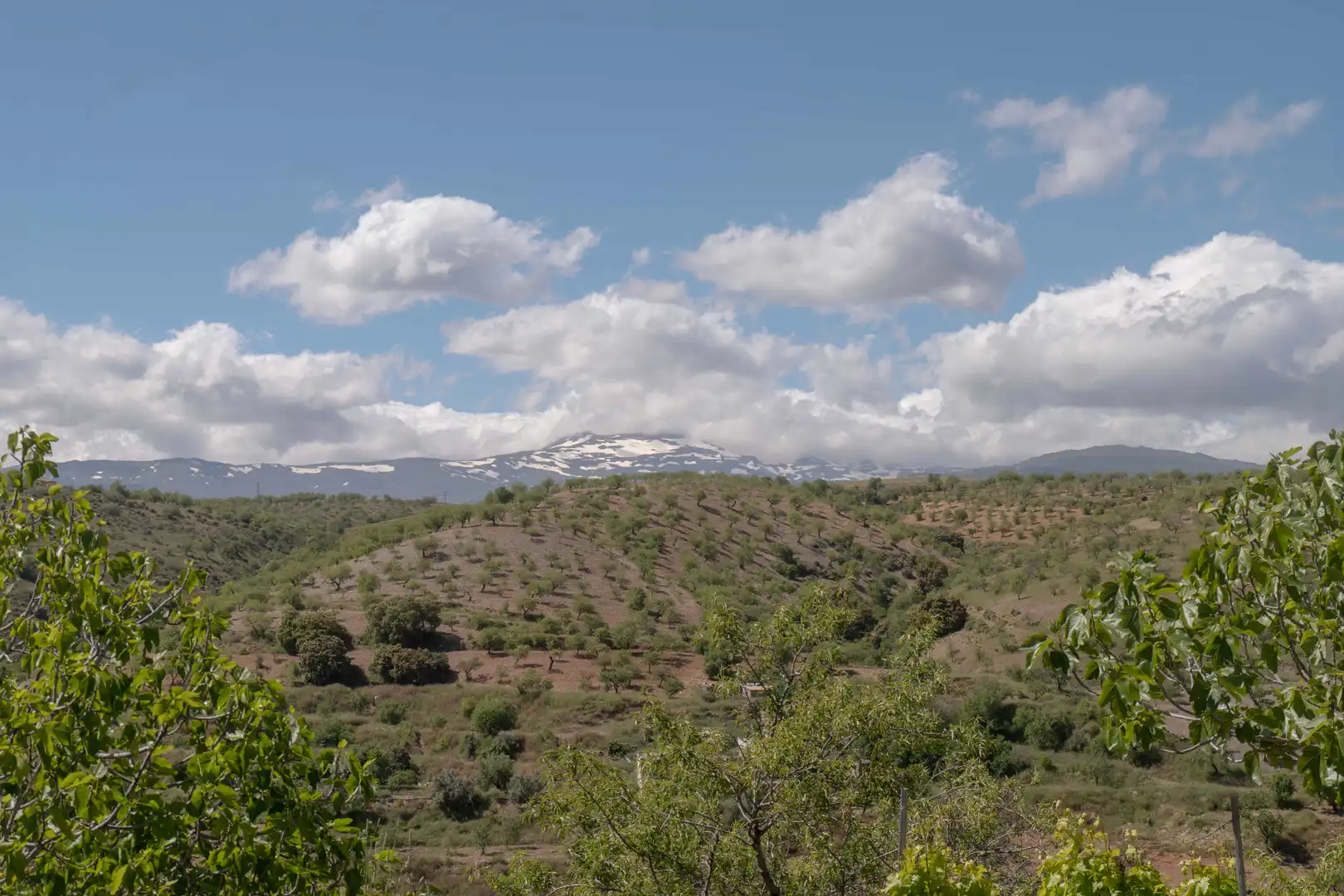 Casa o xalet en venda en Murtas amb Jardí privat, Terrassa i Piscina