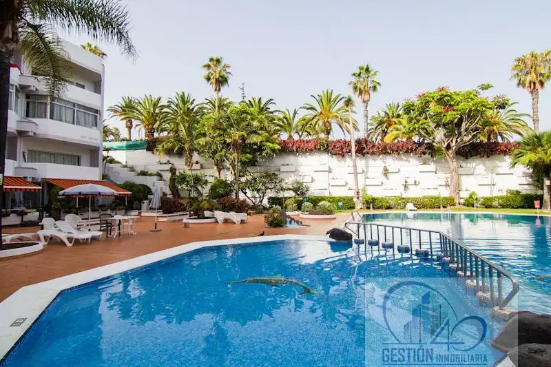 Swimming pool of Apartments for rent in Puerto de la Cruz  with Parquet flooring, Terrace and Furnished