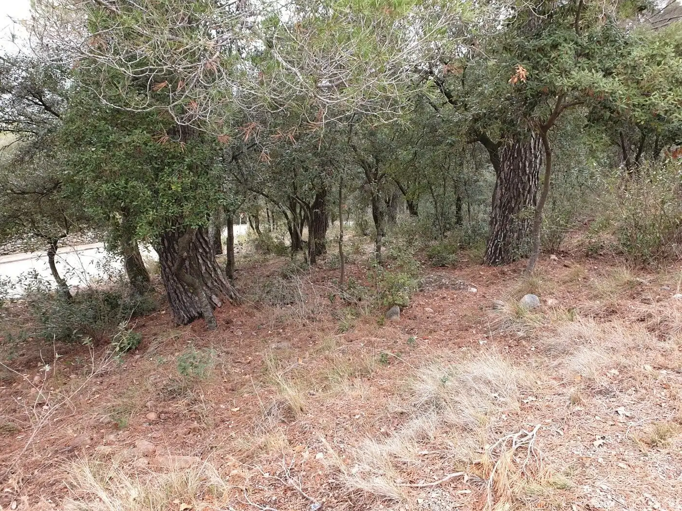 Terrain résidentiel à vendre à Matadepera, imagen 18