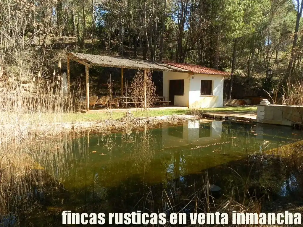 Swimming pool of Land for sale in Valdeolivas