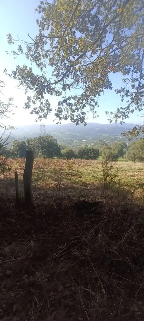 Finca rústica en venta en Nava