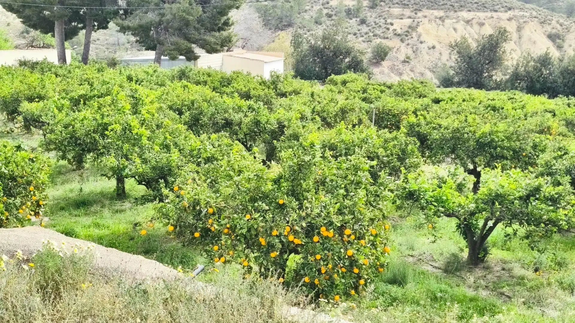 Finca rústica en venta en Aigües con Jardín privado