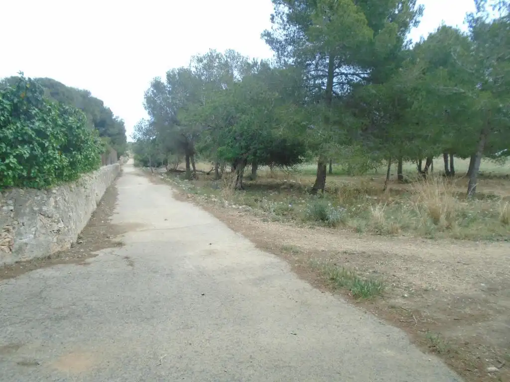 Rustikales Grundstück zum Verkauf in Paraje del Moro, imagen 16