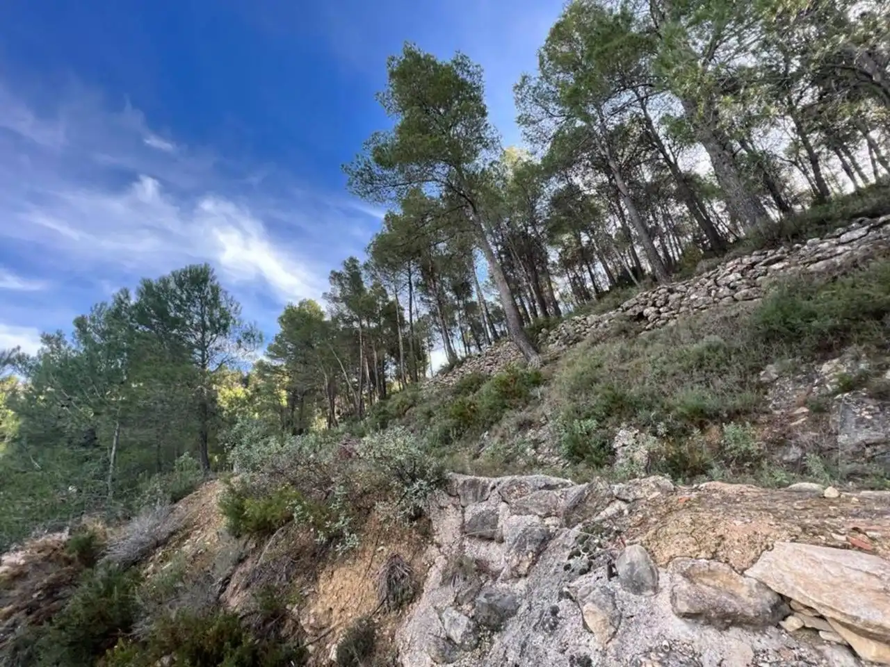 Villa avec jardin à vendre à Penàguila, imagen 76