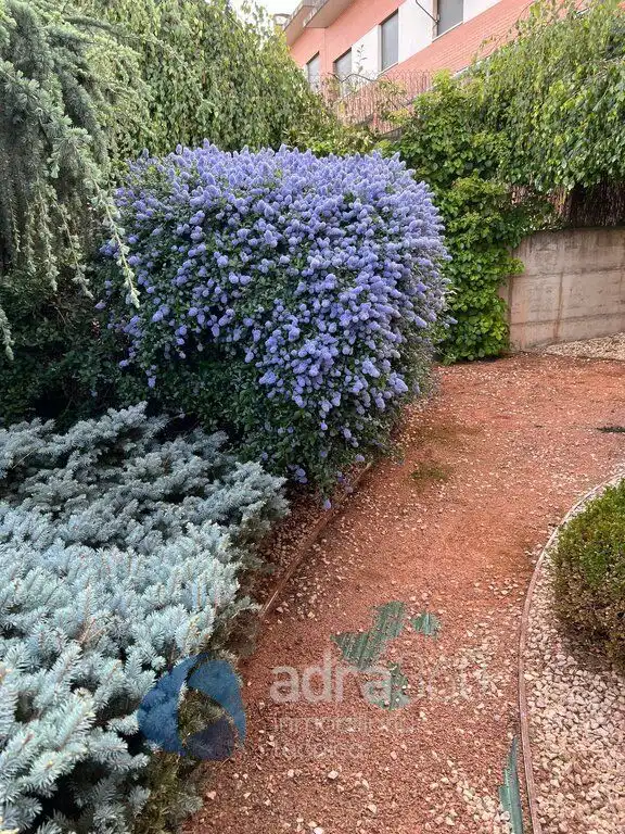 Jardí de Casa o xalet en venda en Cirueña amb Calefacció, Jardí privat i Terrassa