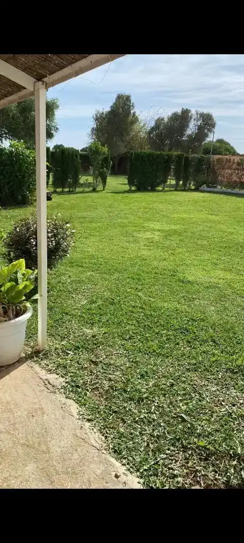 Pis en venda en Benalup-Casas Viejas amb Jardí privat, Traster i Piscina